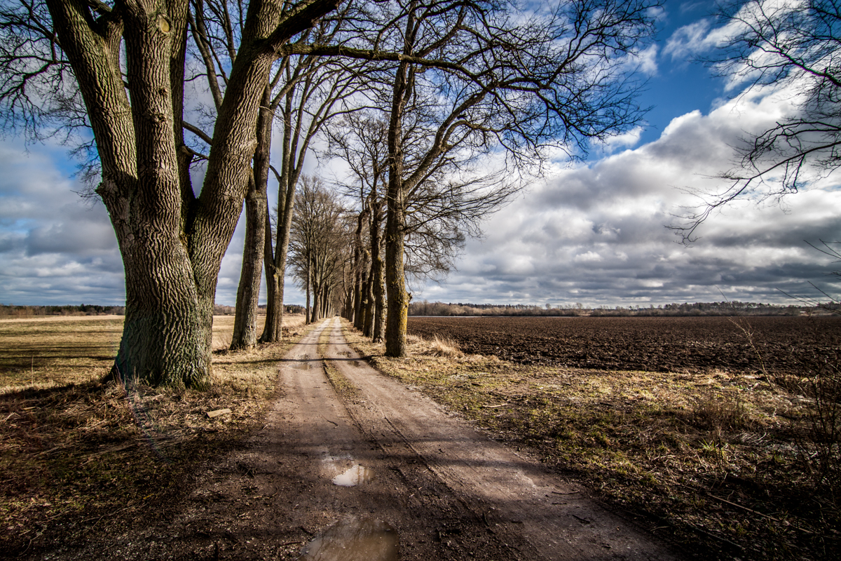 Gotland - Fårö