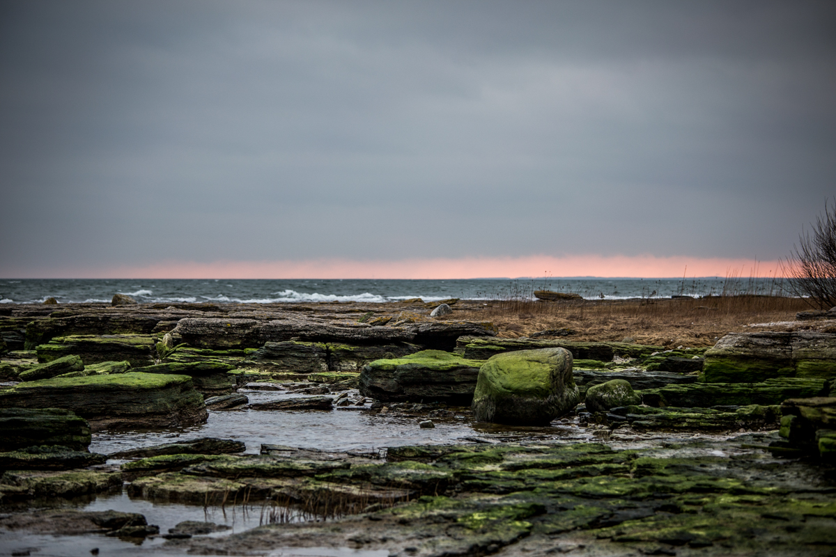 Gotland - Fårö