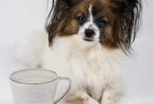 Susanne Keramik & Foto – Lillövägen 3 Åkersberga. Stor kaffekopp eller temugg